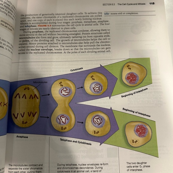 Biology Science for Life with Physiology Belk/Borden 2nd Ed. GRCC Comm College - Picture 8 of 15